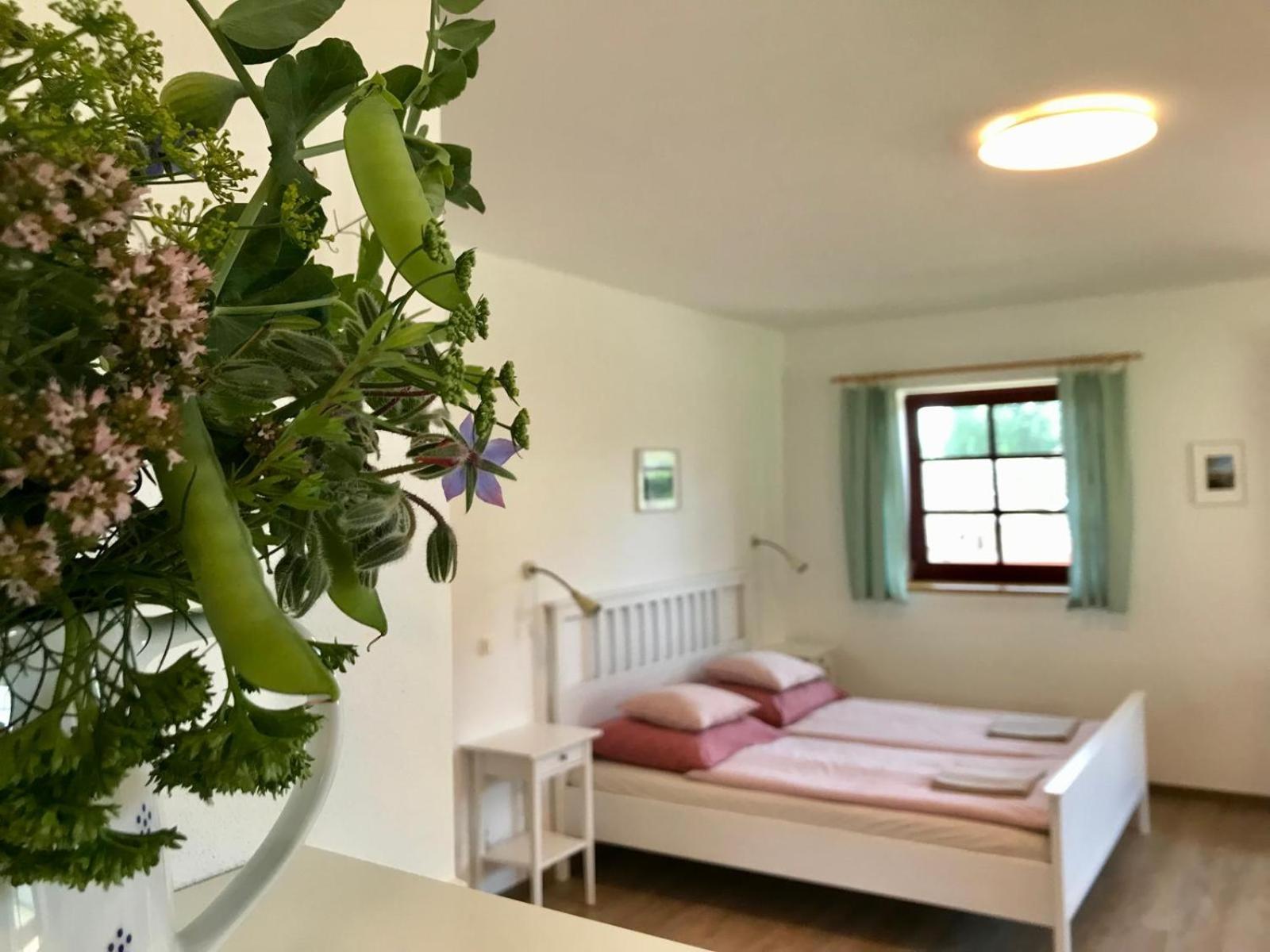 Ubytovani Praschlhaus Horní Planá Eksteriør bilde